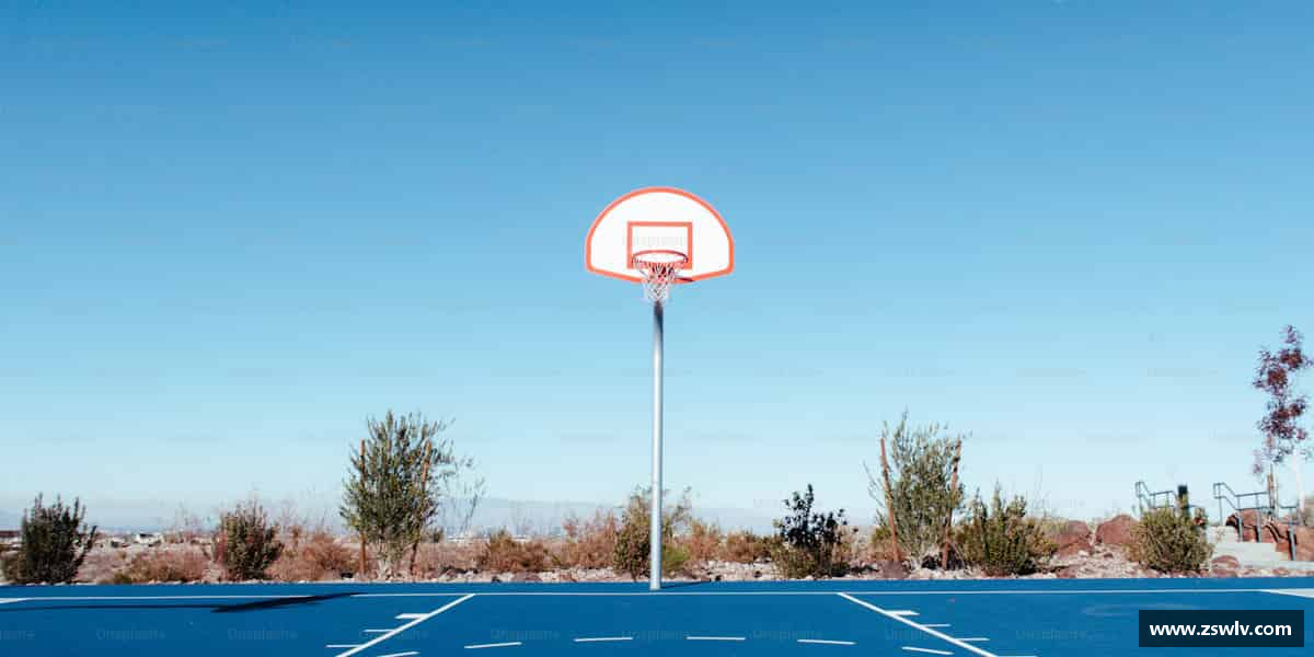 谈球吧中国只有拼搏，才能超越极限。